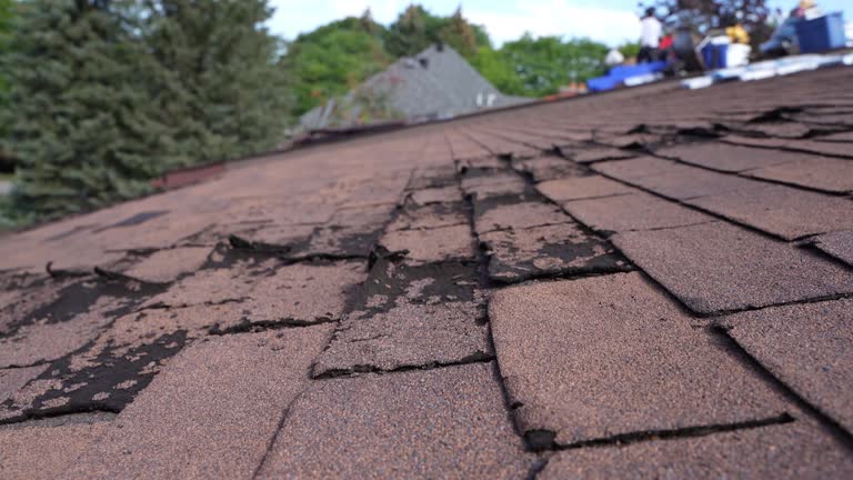 Best Hot Roofs  in Barboursville, WV