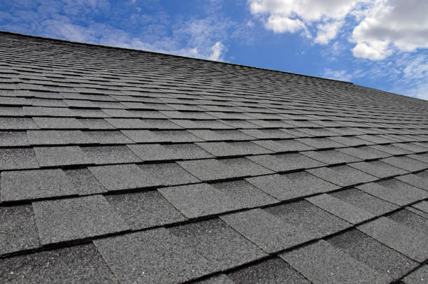 Best Metal Roofing Installation  in Barboursville, WV